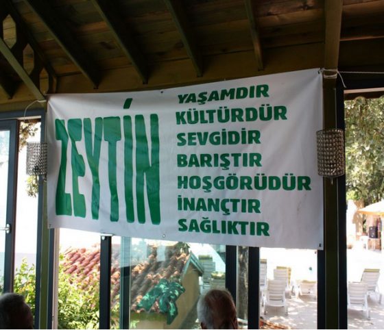 zeytin1