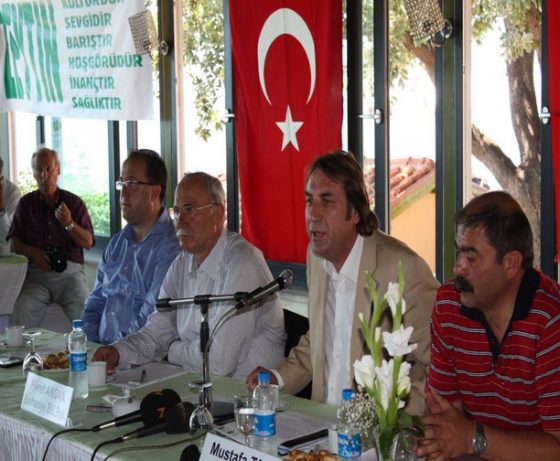 zeytin5